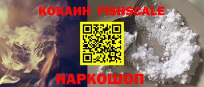 гидропоника Гатчина