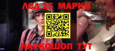 гидропоника Гатчина