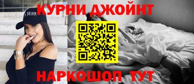 гидропоника Гатчина