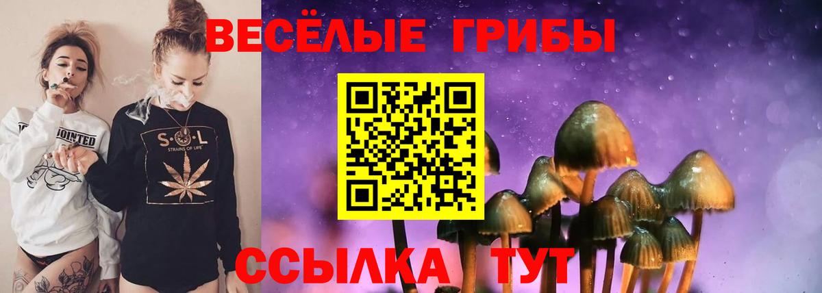 Псилоцибиновые грибы мицелий  Галлюциногенные грибы Psilocybine cubensis  Вход с VPN  Вольск 